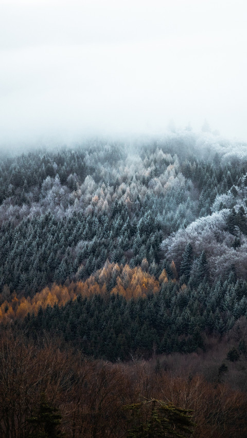 Winter Snowfield screenshot