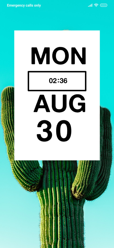 Plant Cactus screenshot