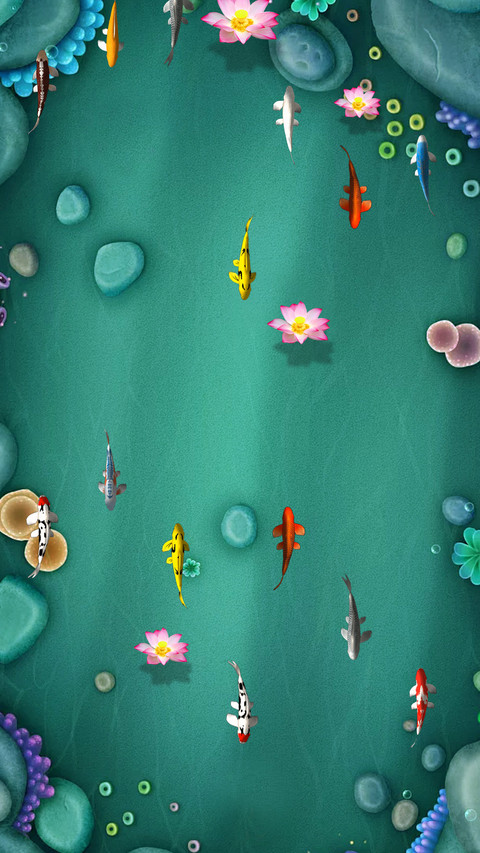 锦鲤小鱼 screenshot