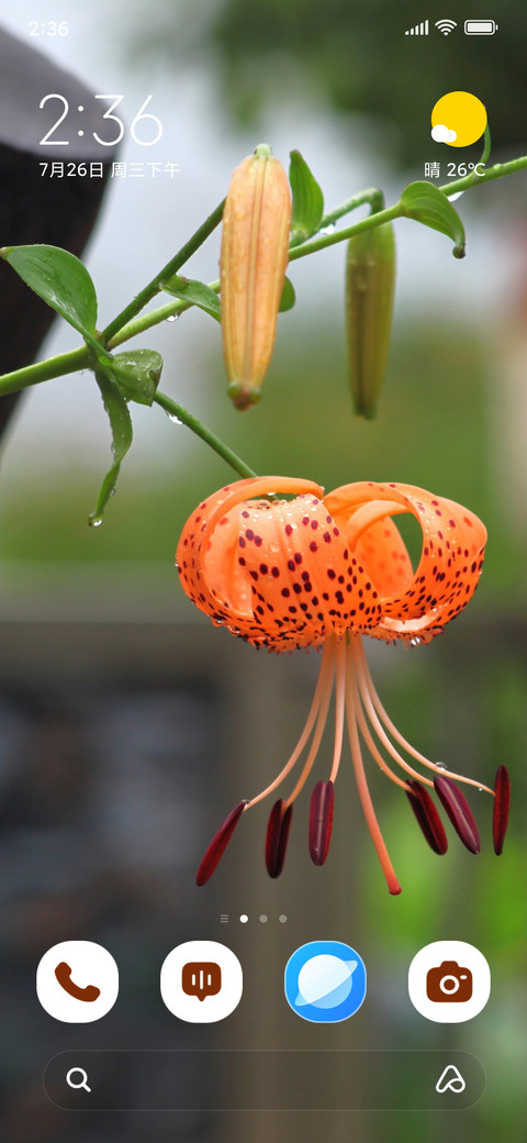 Morning Lily screenshot