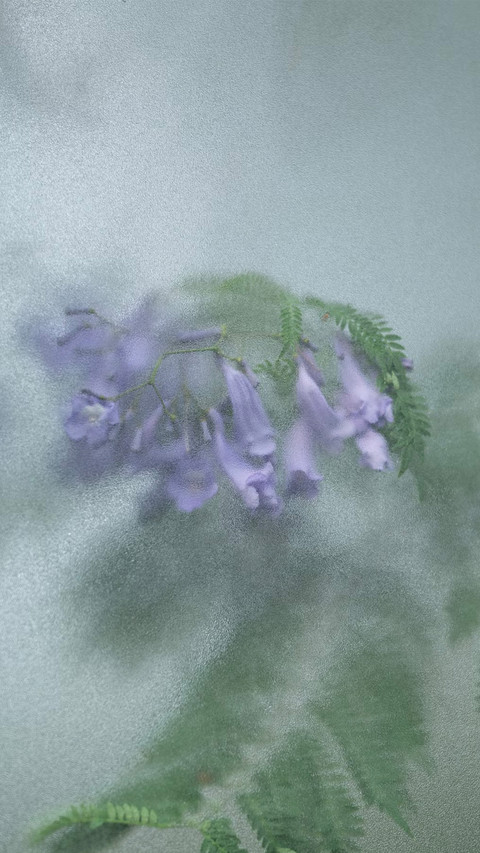 风揽清花漫渡温柔时光 screenshot