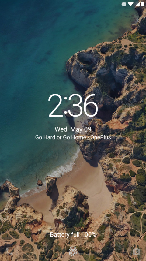 Pineapple screenshot