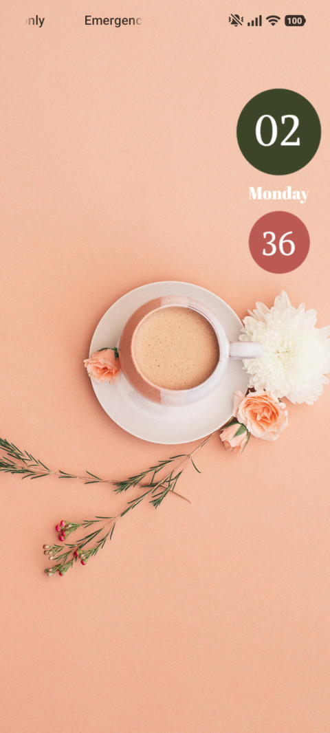 Blush Tea screenshot