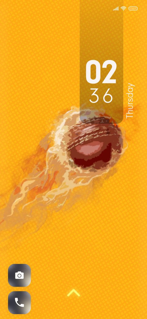 Cricket_6 screenshot
