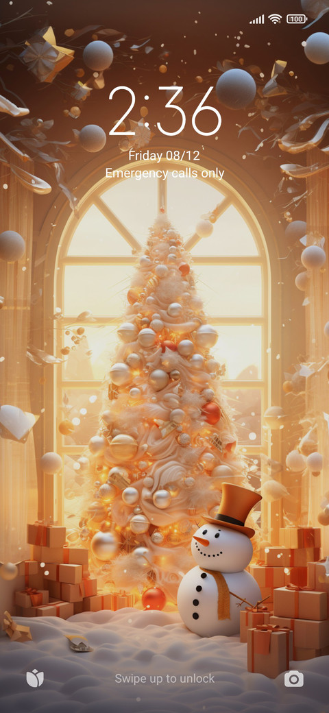Christmas Window screenshot