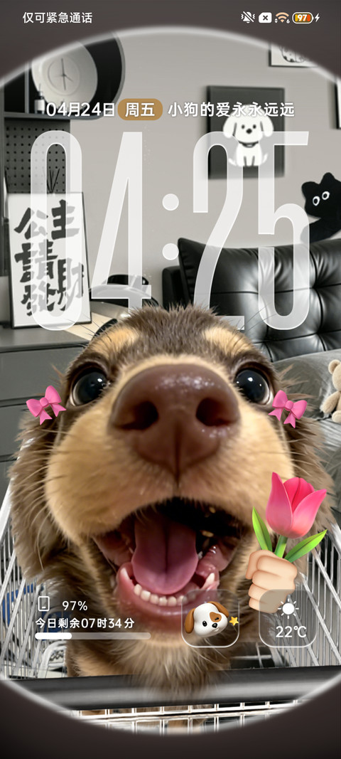 3D鱼眼萌萌小腊肠 screenshot