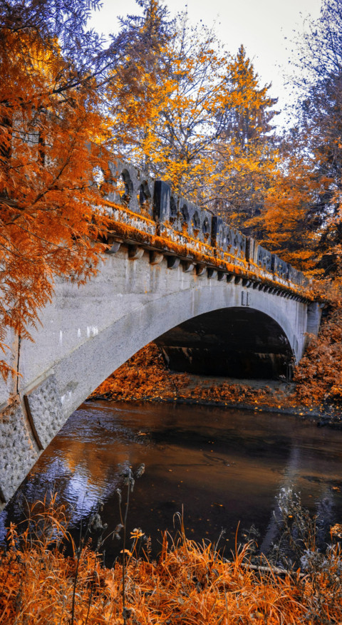 Bridges of Nature 2 screenshot