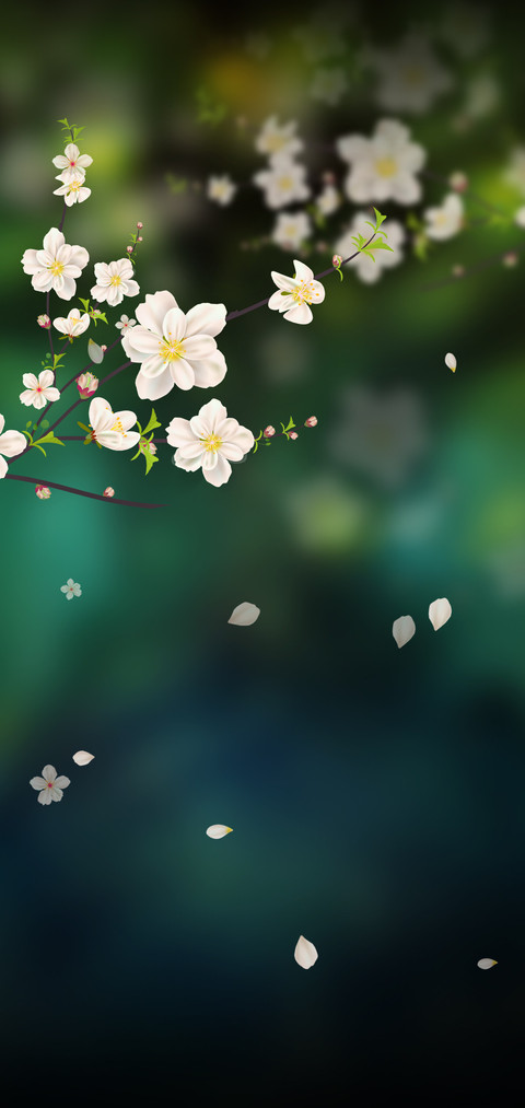 蜂鸟唯美落花 screenshot