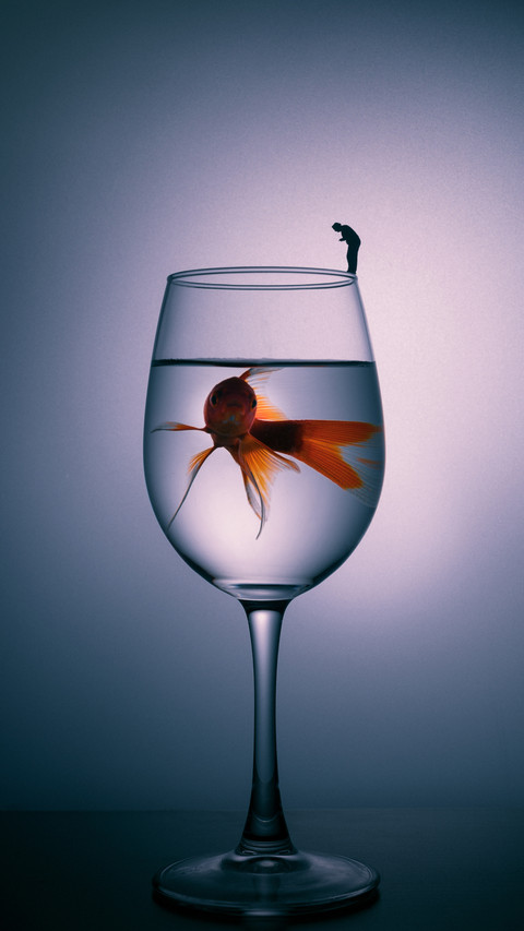 Elegant Cup, Peaceful Fish screenshot