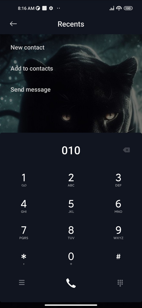 Black Panther screenshot