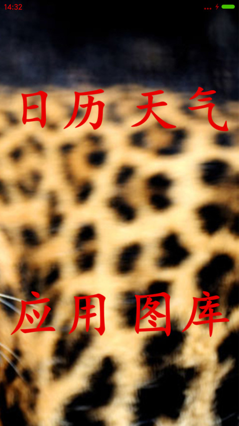 豹口取宝 screenshot