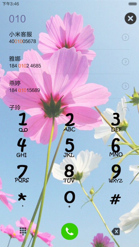 清新简约波斯花 screenshot