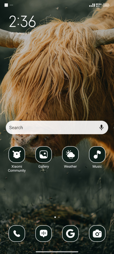 Highland Cattle screenshot