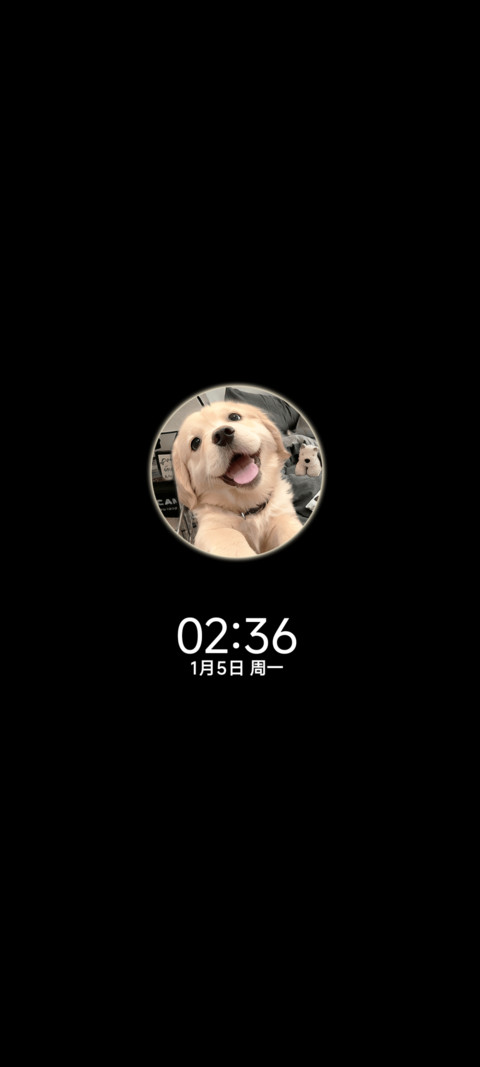 3D小金毛 自定义 screenshot