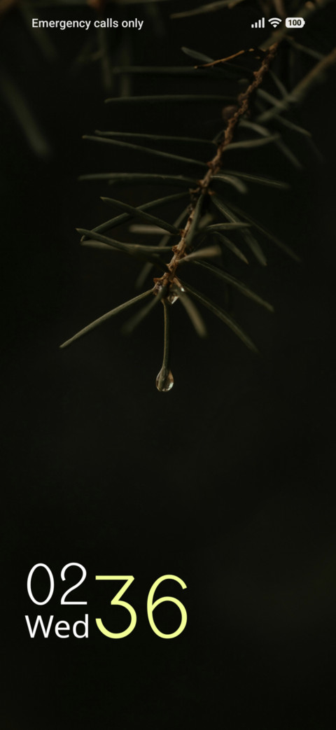 Pine Drople screenshot