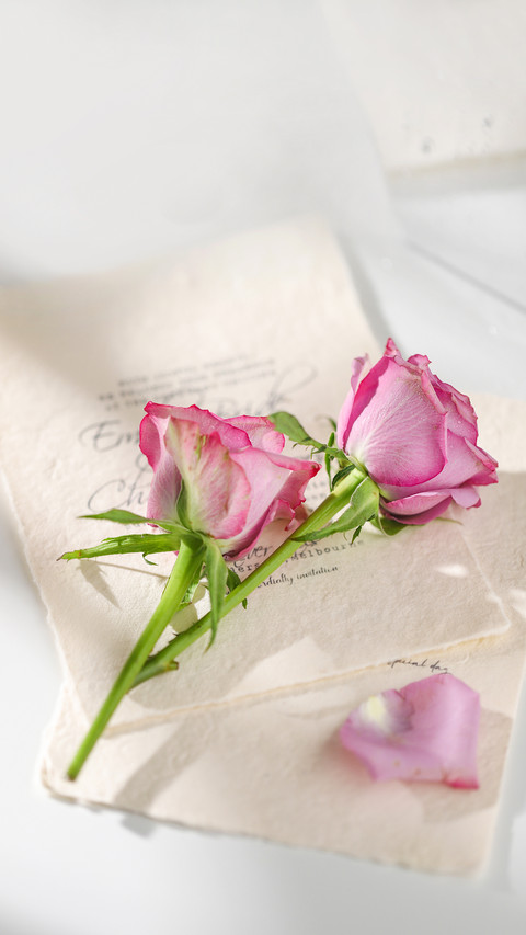 Purple Rose screenshot