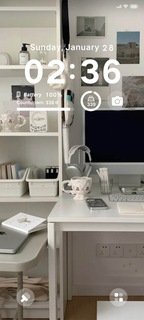 Ins feng house screenshot