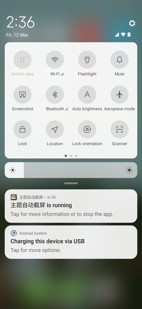 R screenshot