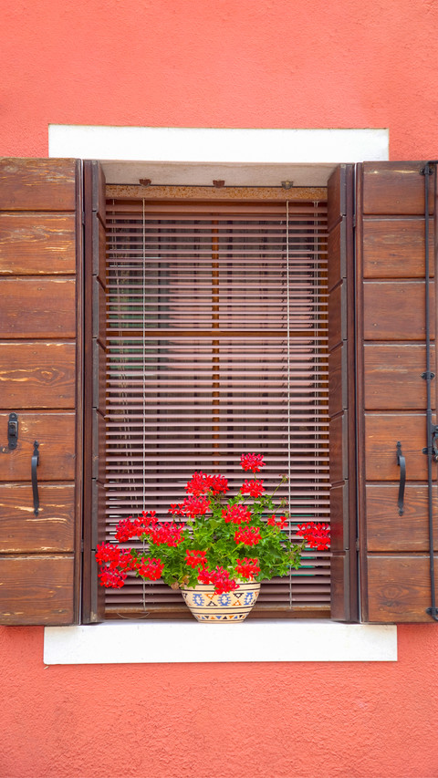 The flowers on the windowsill screenshot