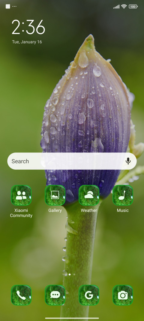 Rain blossom screenshot