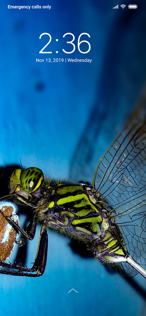 Dragon Fly_DWM3 screenshot