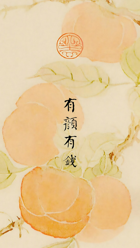 我的世界我做主 screenshot