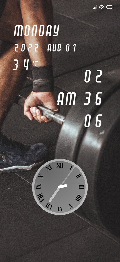 Gym Addict screenshot