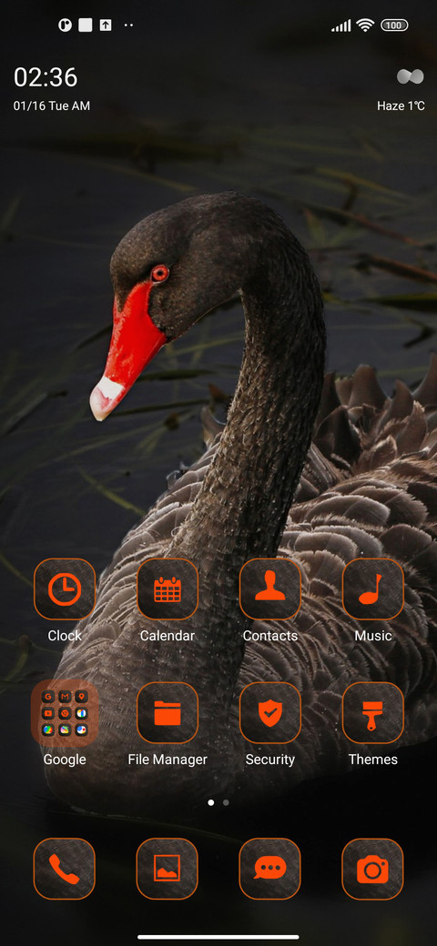 dark swan screenshot