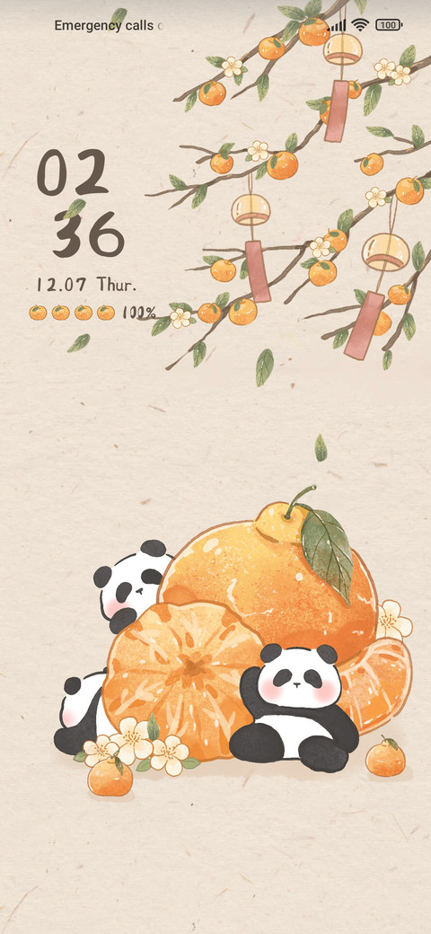 Chinese Panda screenshot