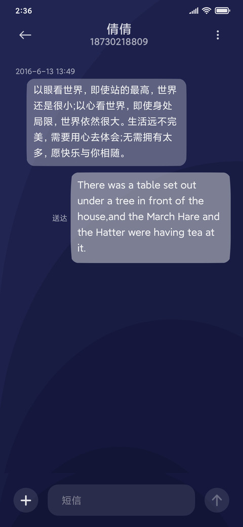极简派 screenshot