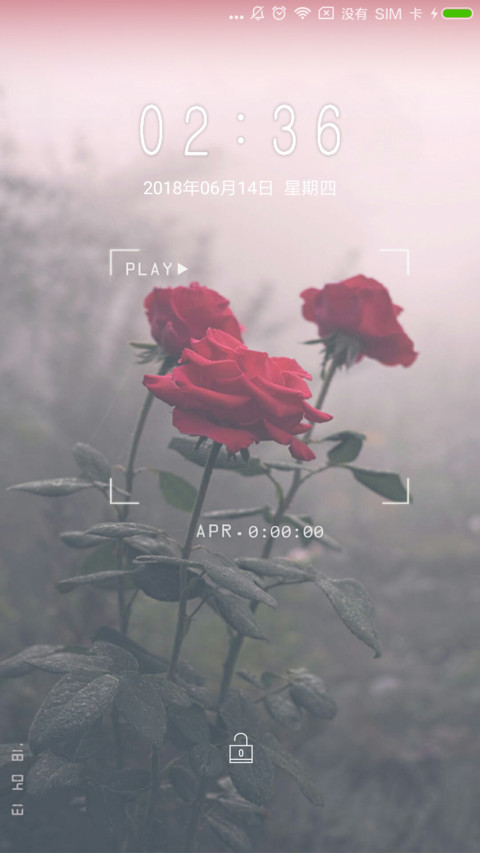 玫瑰花 screenshot