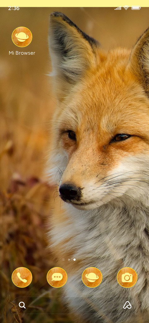 wildlife fox screenshot