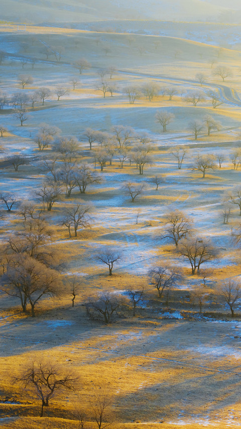 The dawn light falls over the grasslands and forests screenshot