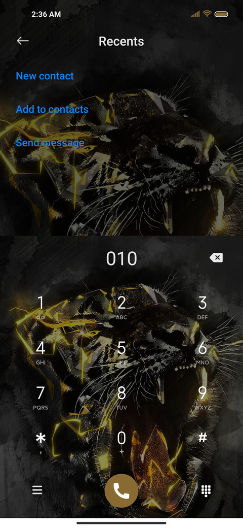 Tiger Warrior screenshot