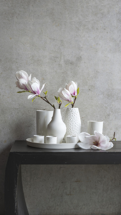 Elegant magnolia flower screenshot
