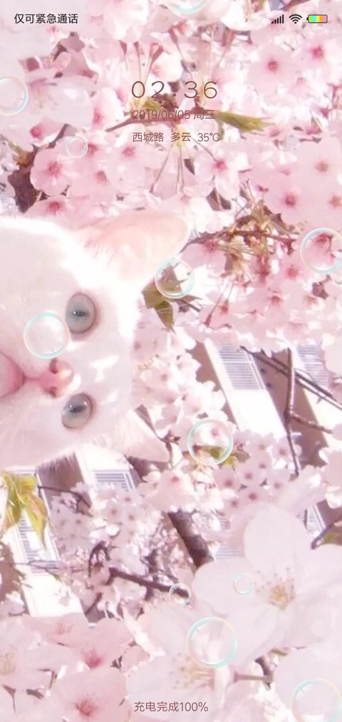 4多壁纸花开烂漫时 screenshot
