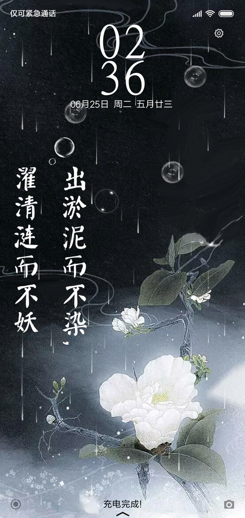 白莲 screenshot