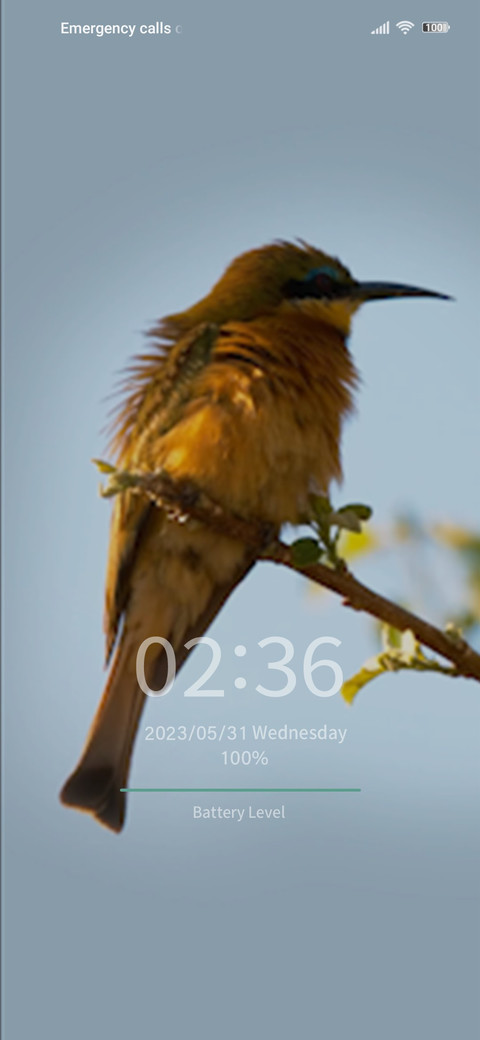 bee-eater screenshot
