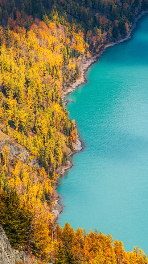 The lake and its shore screenshot
