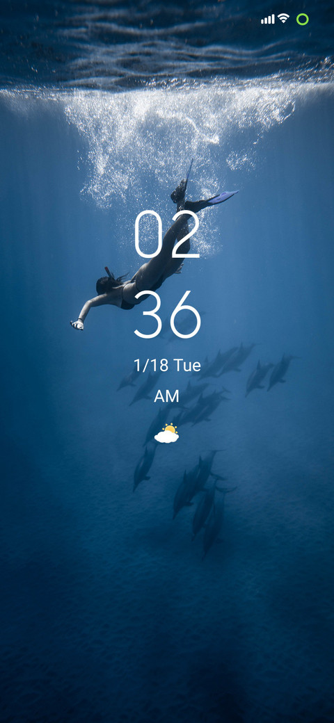 diving screenshot