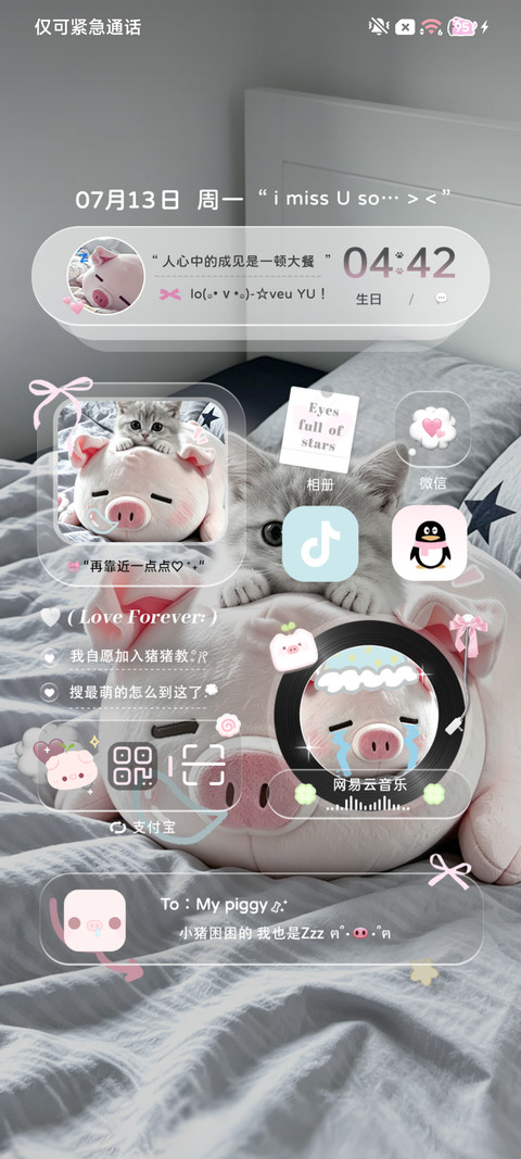 ins软糯换图猪宝 screenshot