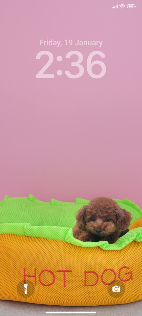 Pink Puppy R screenshot
