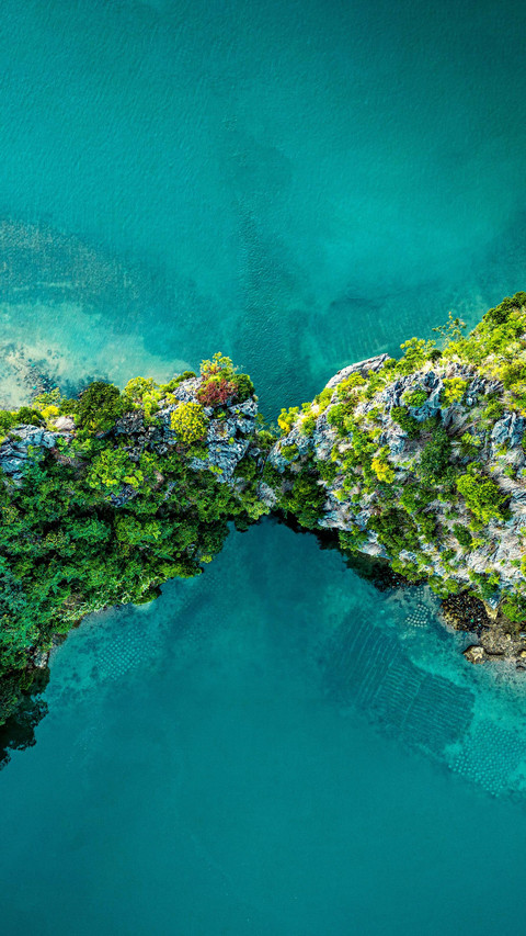 Unlock the diverse charm of vietnam screenshot