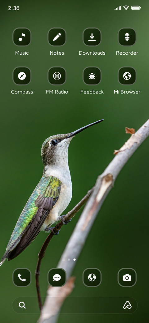 Bird screenshot