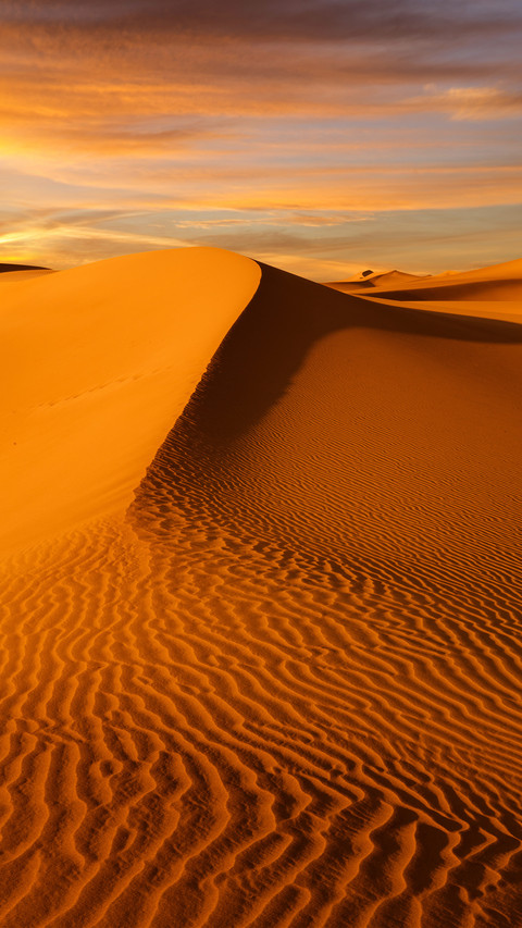 Desert feelings are more than Sahara 95 screenshot