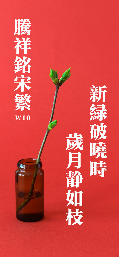 腾祥铭宋繁W10 screenshot