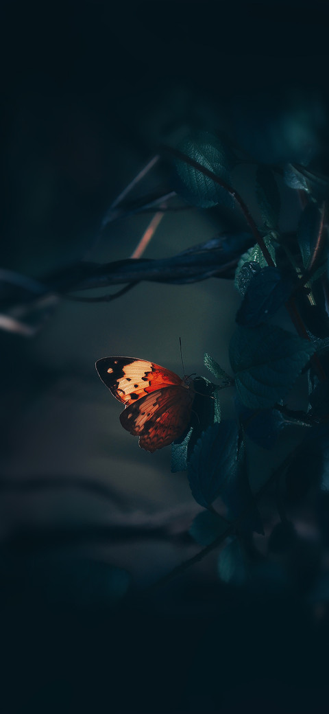 点亮枯燥生活 screenshot