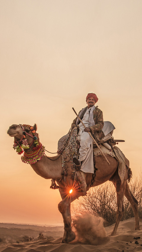India-camel screenshot