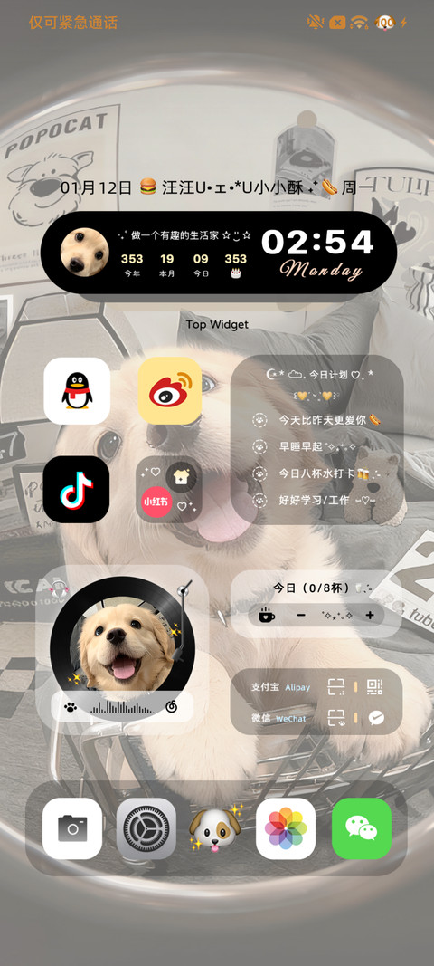 3D小金毛 自定义 screenshot