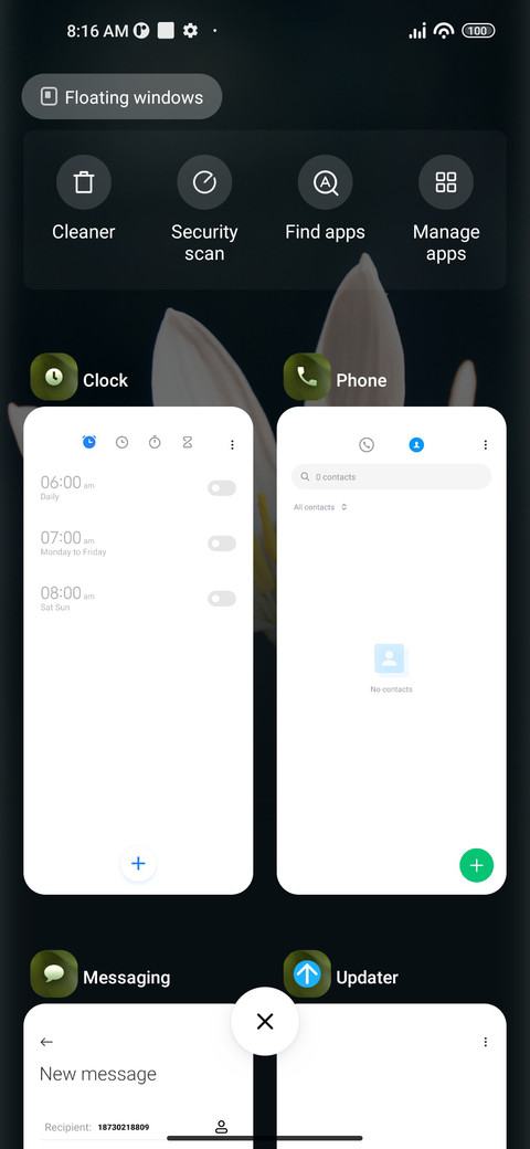 Delicate screenshot